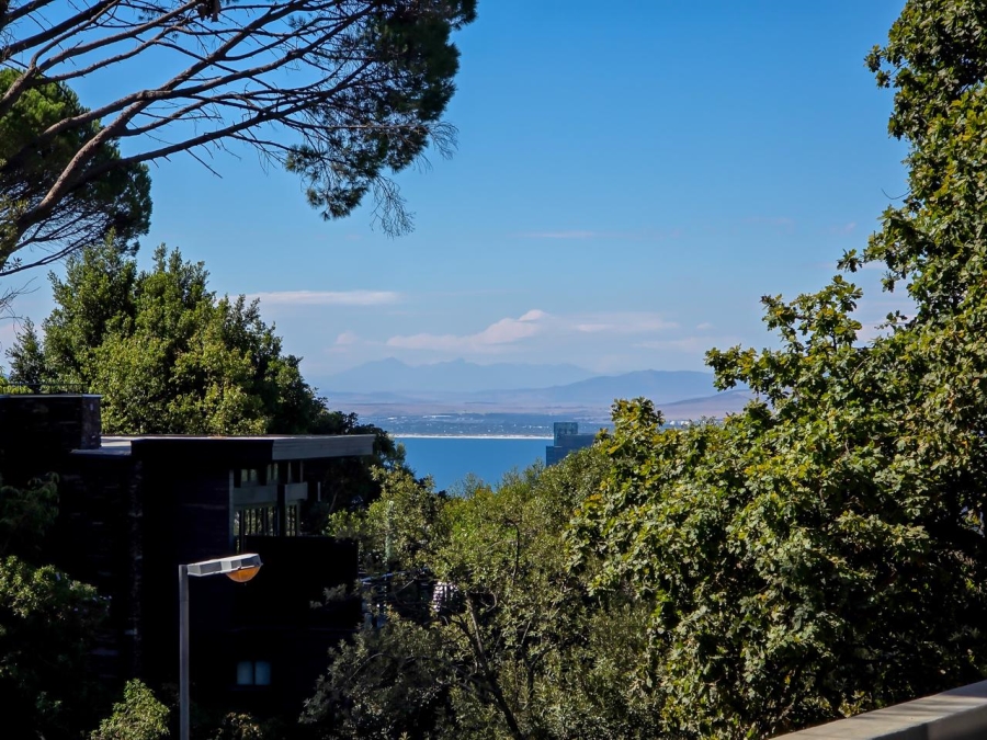 To Let 4 Bedroom Property for Rent in Higgovale Western Cape